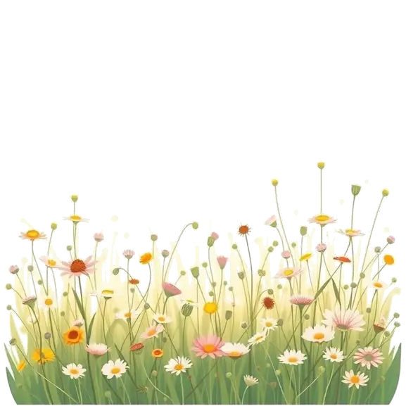 About Calmness.Cloud